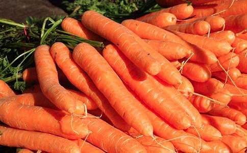 胡萝卜先生的长胡子故事续写作文精品（19篇）