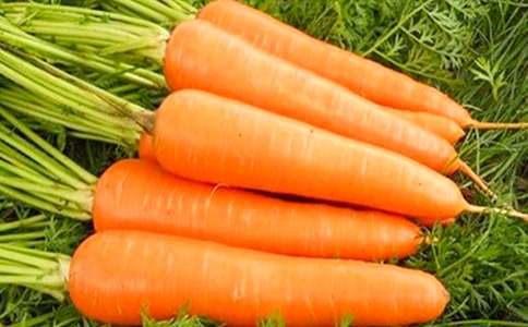 (通用)胡萝卜先生的长胡子故事续写作文15篇