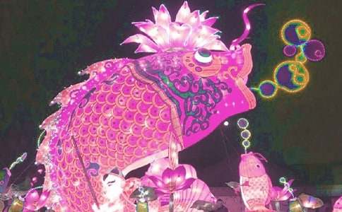 观赏花灯作文【实用】