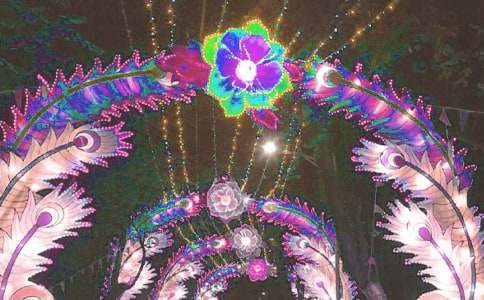 看花灯作文(精选)