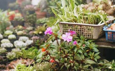 花店创业策划书