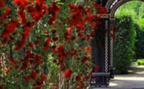 菽庄花园导游词11篇