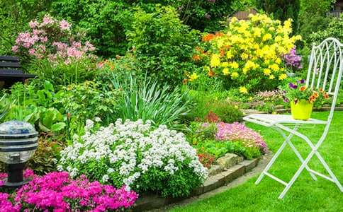 菽庄花园导游词