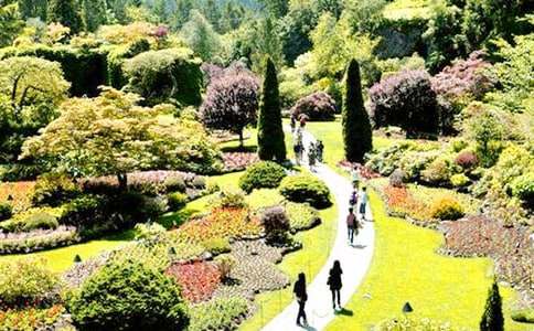 《巨人的花园》教案(15篇)