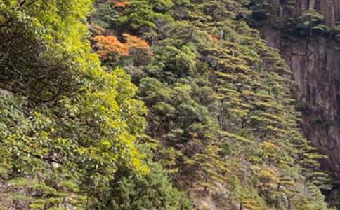 黄山导游词(15篇)