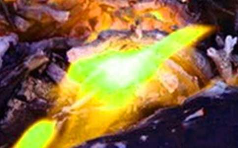 小区冬春火灾防控工作方案（通用11篇）