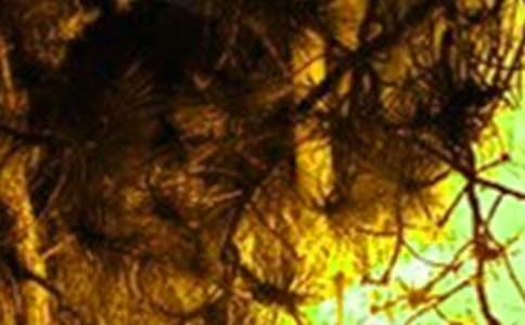 (优秀)火灾事故心得体会15篇