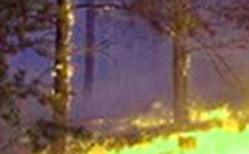 预防火灾119宣传标语