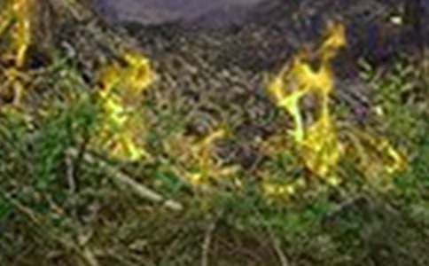 火灾防控工作方案范文