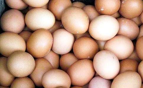 《画鸡蛋》教案