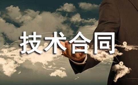 计算机技术合同优秀