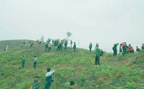 祭祖仪式致辞（精选32篇）