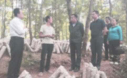 喝酒违纪检讨书