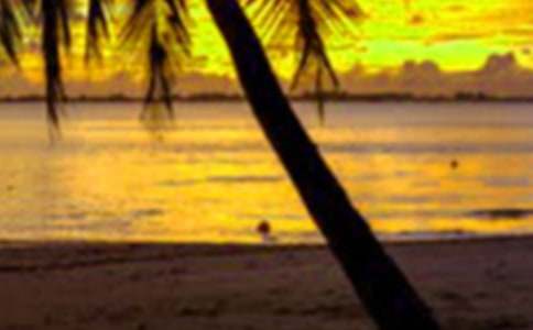 精选英文假期作文四篇