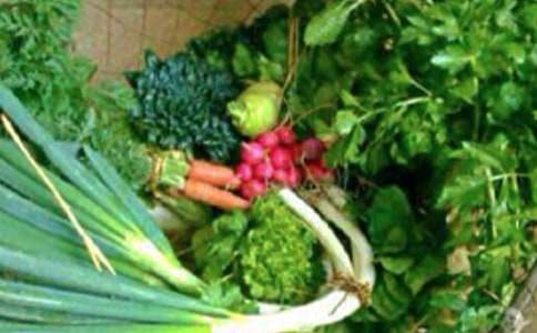 小班健康教案我的小脚丫