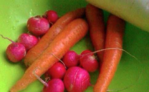 【精品】大班健康教案集合八篇