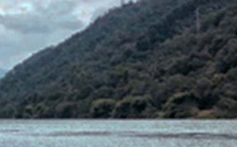 描写自然景色的作文