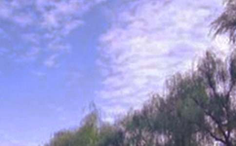 地方景色的作文合集6篇