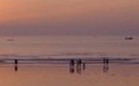 窗外的景色怎么写作文