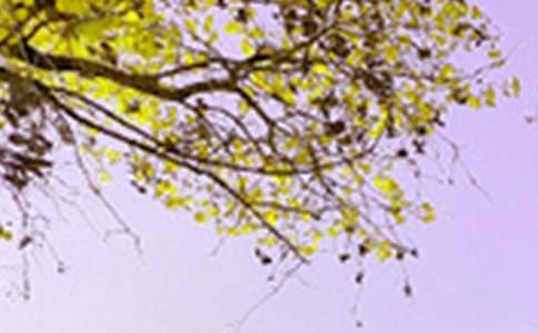 小学写景色的作文（通用3篇）