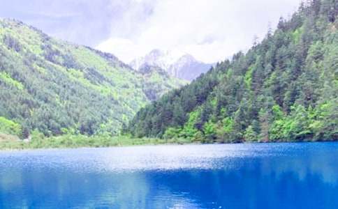 九寨沟的导游词(集合15篇)