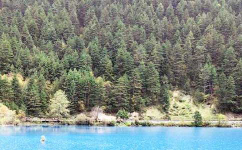 四川九寨沟导游词(集锦15篇)