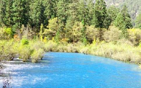 (合集)游九寨沟作文15篇