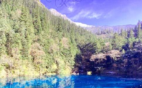 九寨沟作文集锦15篇