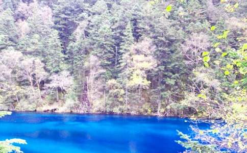 四川九寨沟导游词(合集15篇)