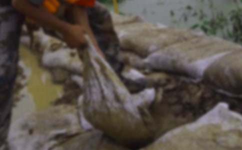 抗洪救灾心得体会