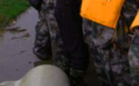 抗洪救灾工作总结