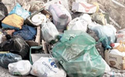 清理绿化带垃圾简报(必备12篇)