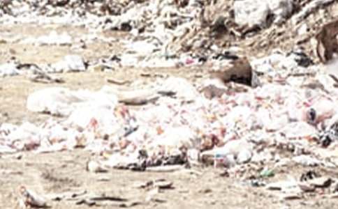 乱扔垃圾检讨书范文