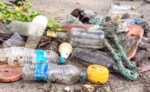 清理绿化带垃圾简报