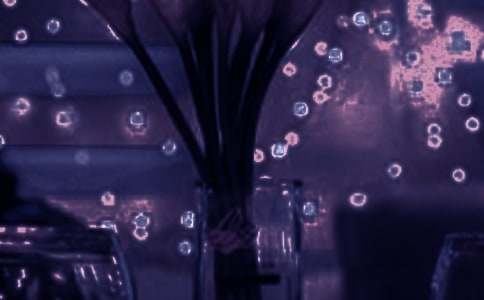 浪漫鼠德佩罗读后感