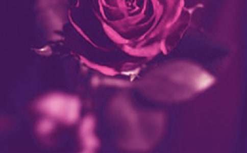 关于浪漫个性说说心语（精选30句）