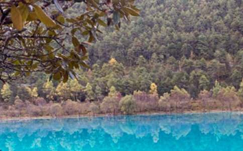 丽江导游词(集合15篇)