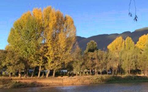 关于丽江古城导游词