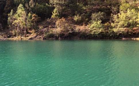 云南丽江古城导游词14篇