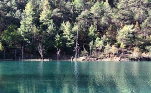 云南丽江古城的导游词 9篇