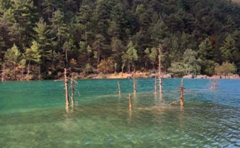 【推荐】丽江古城导游词