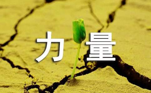 观看榜样的力量心得体会集合（15篇）