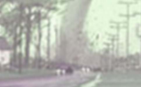 龙卷风自我介绍