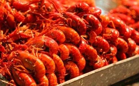 [精品]钓龙虾作文