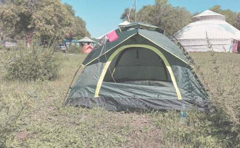 露营小学作文锦集6篇