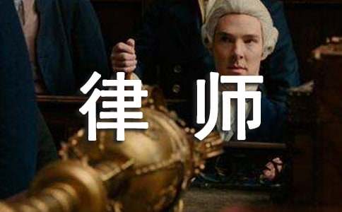 律师年度个人总结合集15篇