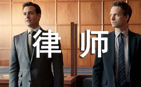 律师年度个人总结