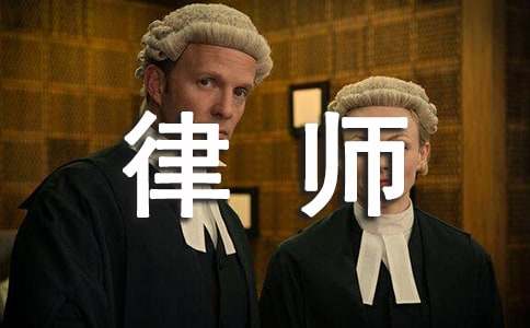 律师年度执业总结