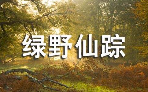 《绿野仙踪》读书心得体会8篇