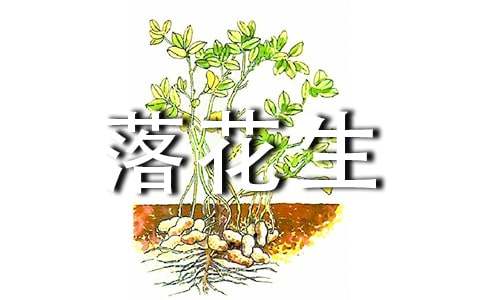 关于《落花生》教案模板9篇